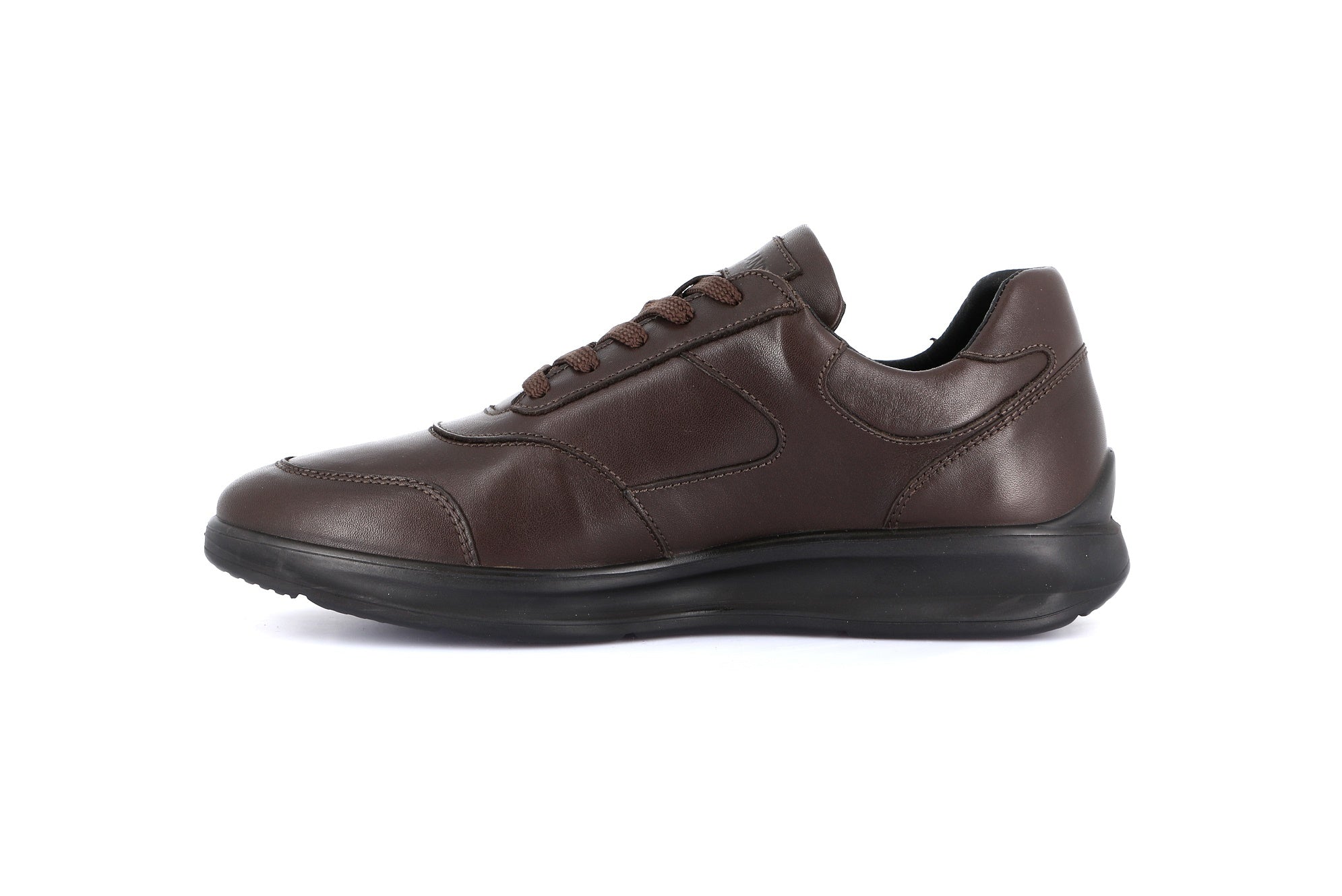 BONN SC4310 MARRON LACCI UOMO
