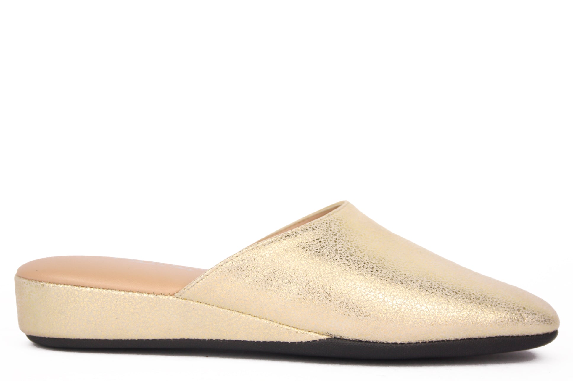 173-24 PLATINO PANTOFOLA PUNTA CHIUSA DONNA