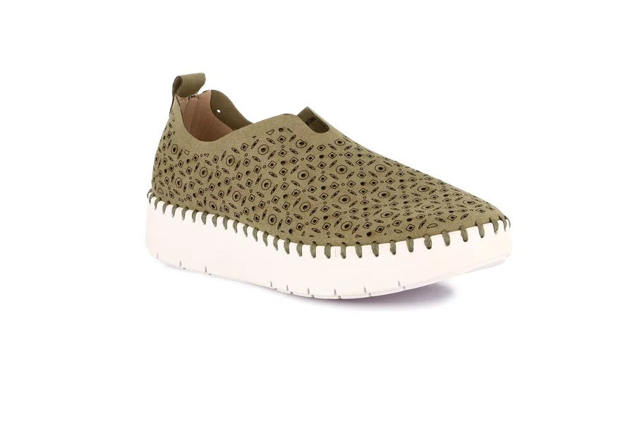 SILI SC6184 OLIVA CALOSCINA DONNA