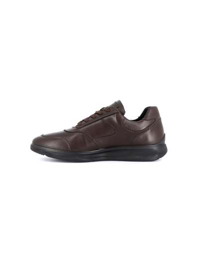 Grunland Uomo BONN SC4310 Marron Scarpe Uomo 